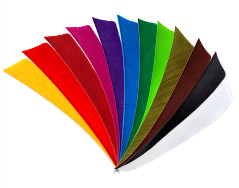 Feder RW Shield 5" einfarbig