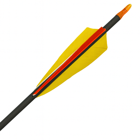 Fertigpfeil Recurve28 Schaft Nr. 29 Natur