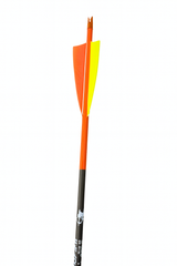 Fertigpfeil Recurve28 Schaft Nr. 29 Natur