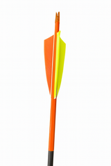 Fertigpfeil Recurve28 Schaft Nr. 29 Natur