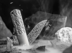 Böker BRLW Meteoritendamast