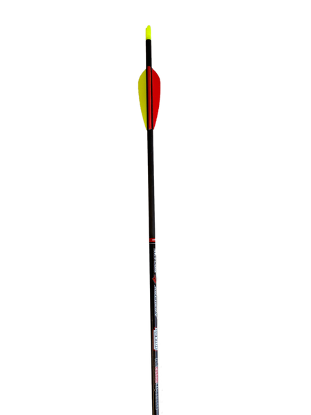 Fertigpfeil Skylon Novice